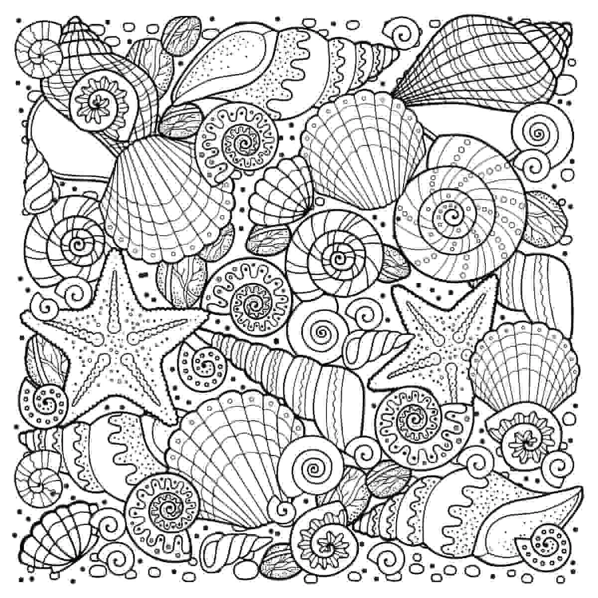 Coloring book summer seashells